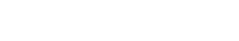 Slotslaunch